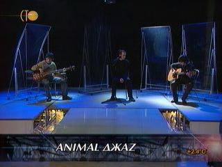 Animal Джаz "Давид" на канале СТО