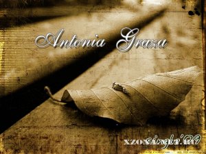 Antonia Graza - Пять страниц (single) (2009)