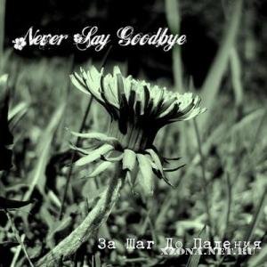 Never Say Goodbye -     (Single) (2010)