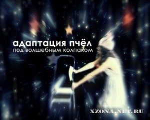 Адаптация Пчёл - Под волшебным колпаком [Single] (2010)