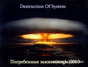 Destruction Of System -   [single] (2010)