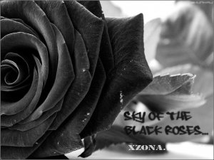 Sky of the black roses (Небо чёрных роз) - Судный день (Single) (2010)
