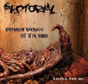 Sectorial - Cerebrum Necrosis Est It In Nobis (EP) (2008)