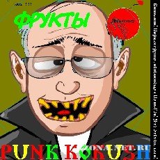 Punk Kokush -  (2005-2010)