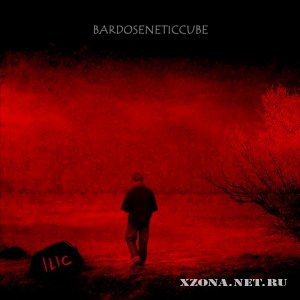 Bardoseneticcube - ILIC (2011)