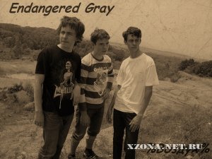 Endangered Gray -  (2011)