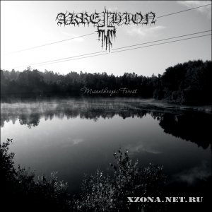 Akrethion -  (2008-2010)