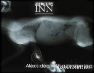 Mercury Inn - Alex's Dog With A Broken Leg (2011)
