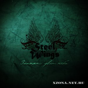 Steel Wings - Запомни цвет неба (Single) (2011)