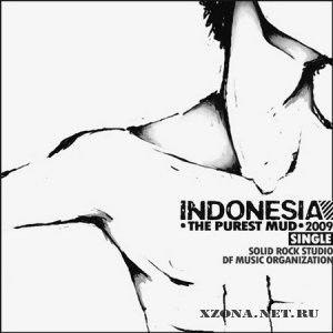 Indonesia - 3  (2008-2011)