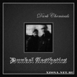 Dunkel Aesthetics - 3  (2010-2011)