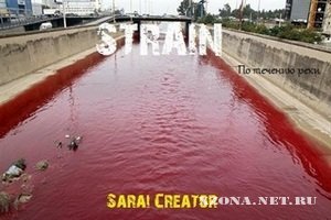 Strain -    [Single] (2012)