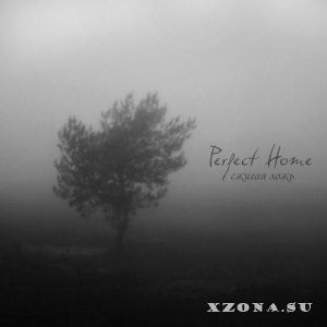 Perfect Home - Сжигая Ложь (Single) (2013)