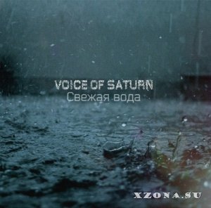 Voice Of Saturn    [Single] (2013)