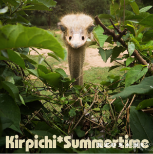 Кирпичи - Summertime (2013)
