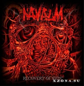 Navalm - Recovery Of Sync (2013)