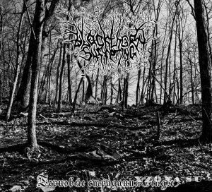 Blackthorn Suffering - Терновые Страдания (Single) (2013)