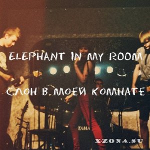 Elephant In My Room - Слон В Моей Комнате (2013)
