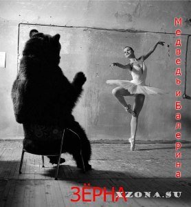 Зёрна - Медведь и балерина (2013)