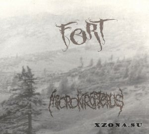 Fort / Microkiropterus - Split (2014)