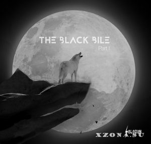 Solorun - The Black Bile (Part I) (2015)