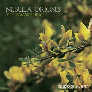 Nebula Orionis - The Awakening (EP) (2017)
