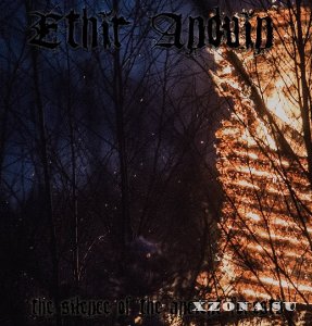 Ethir Anduin - The Silence Of The Ancient Forests (2016)