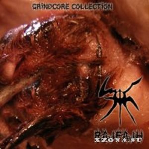 Rajfajh - Grindcore Collection [Compilation] (2011)