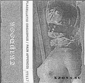 Flagellatio Orgasmus & Pain Appendix - Degenerate Elektroniks [Split] (2018)