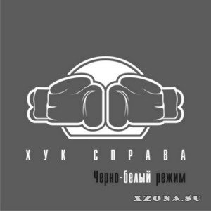   -  (2006-2010)