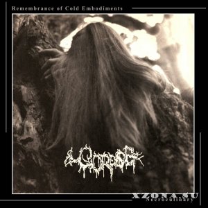 Corpse - Remembrance Of Cold Embodiments / Necroculinary (Compilation) (2020)