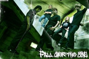 Fall Over The Sins -  (2008-2020)