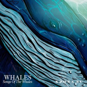 Whales - Songs Of The Whales (2022)