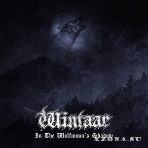 Wintaar -  (2017 - 2023)