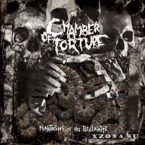 Chamber Of Torture - Phantasms Of The Bedlamite (2022)