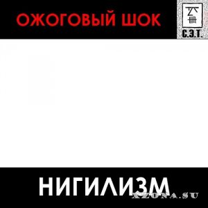   -  (2009 - 2011)