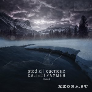 STED.D -  I-III (2014-2024)