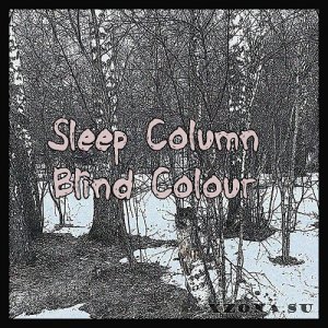 Sleep Column -  ( 8) (2018 - 2019)