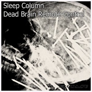 Sleep Column -  ( 8) (2018 - 2019)