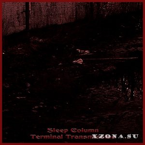 Sleep Column -  ( 8) (2018 - 2019)