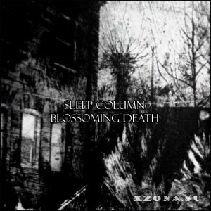 Sleep Column -  ( 8) (2018 - 2019)