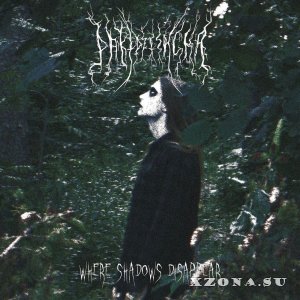 Pakidzishcha - Where Shadows Disappear (2024)