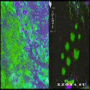 Cunnalhum -  (2025)