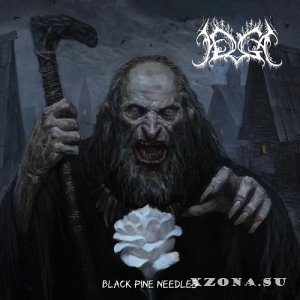Irga - Black Pine Needles (2025)