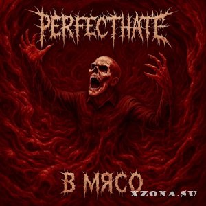 PerfectHate -   (2025)