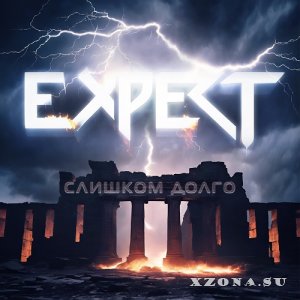 Expert -   (2025)