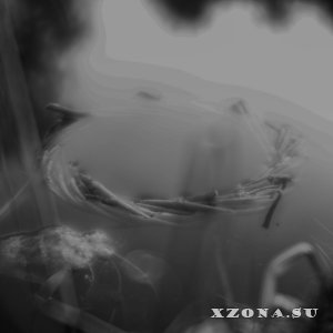 , IZBA -  (2025-06-19)