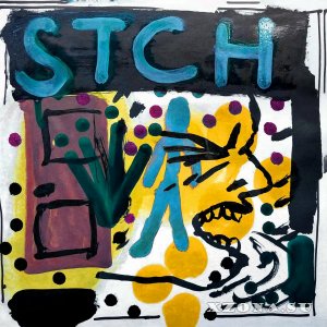 STRELKI CHESNOKA - Birdhouse (2025)