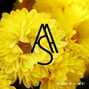 Astral & Shit -     ( ) (2016)