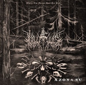 Fallen Lives - Where The Forest Has No End (EP) (2025)